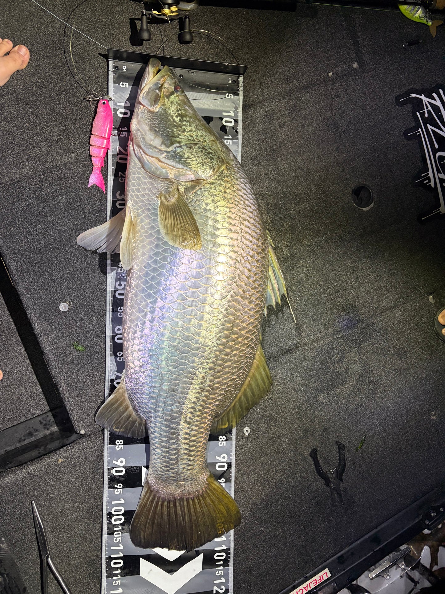 5 Piece Soft Swimbait