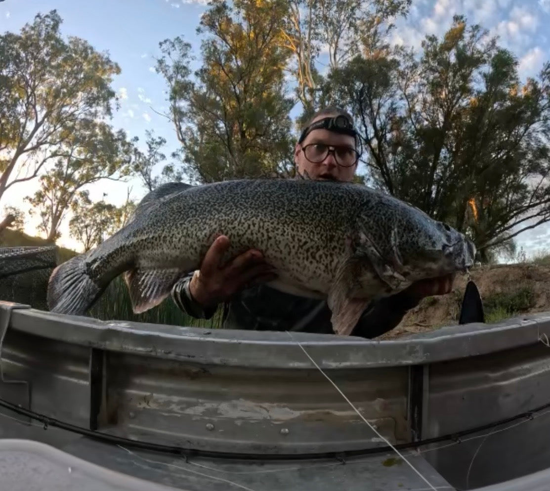 Coban Cod Crawler