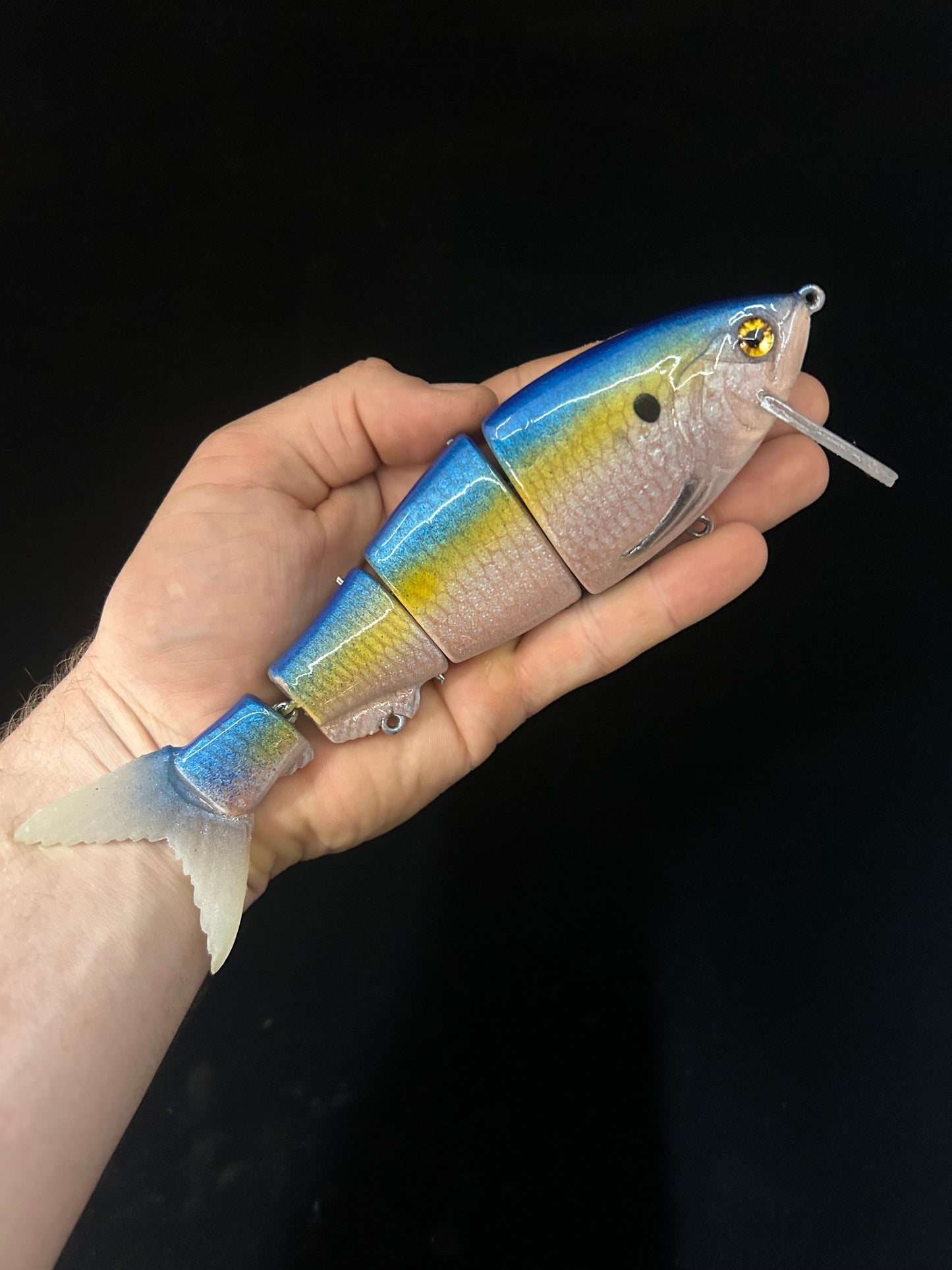 8" Bibbed Swimbait Sexy Shad