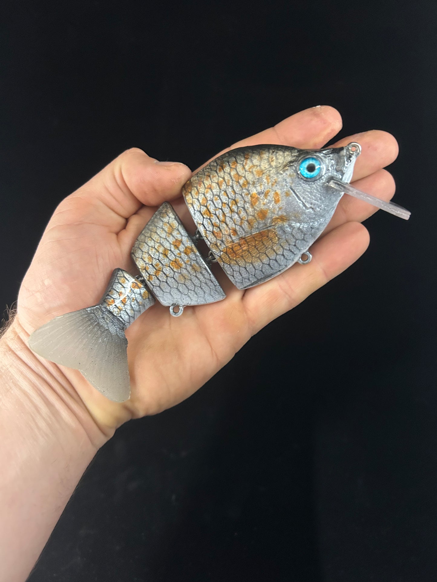 3 Piece Gill with Bib Spangled Perch