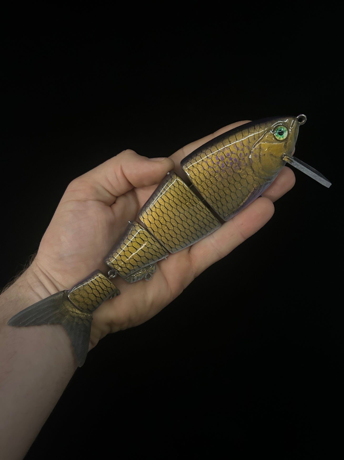8" Bibbed Swimbait Golden Shiner