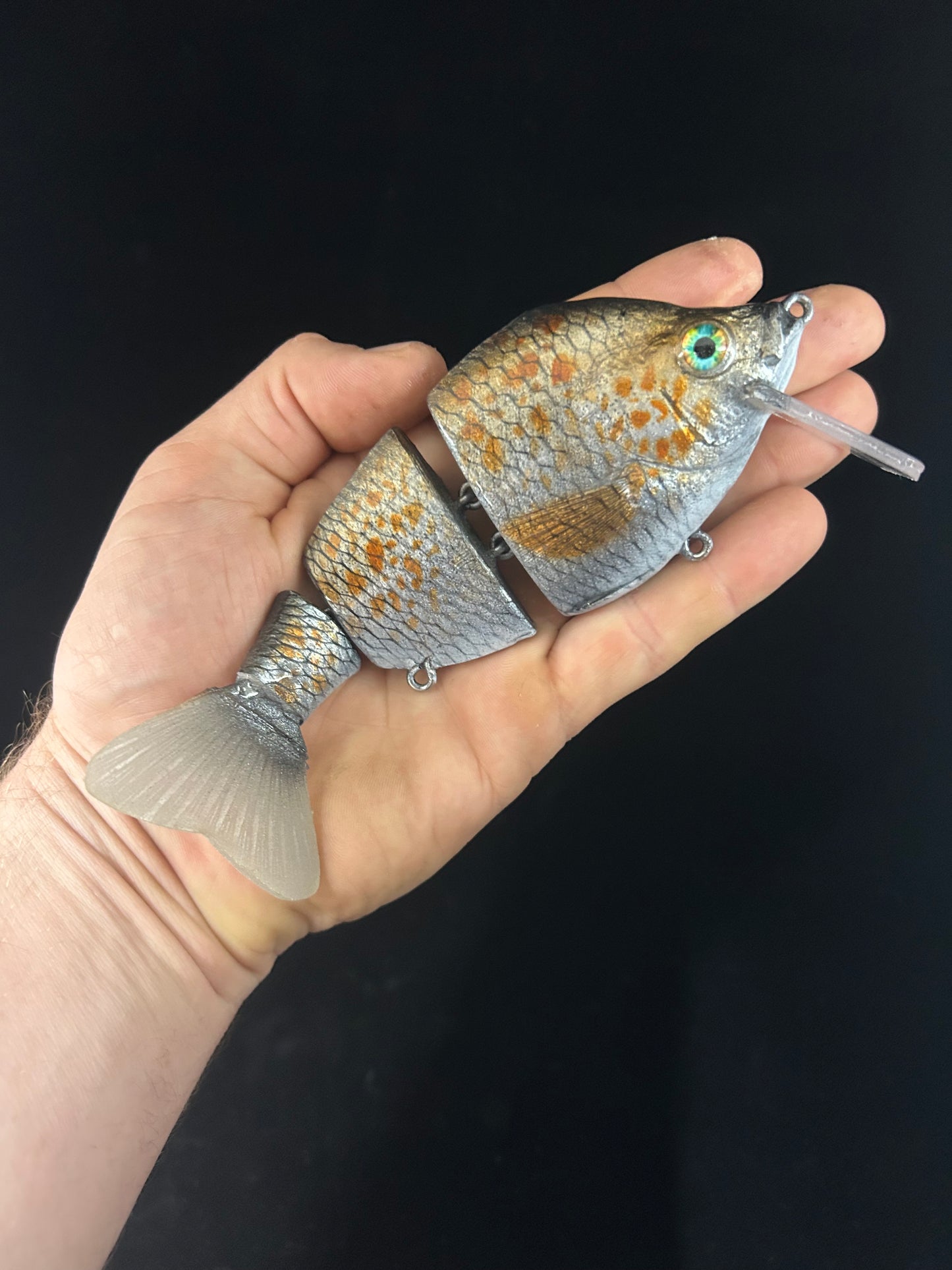 3 Piece Gill with Bib Spangled Perch