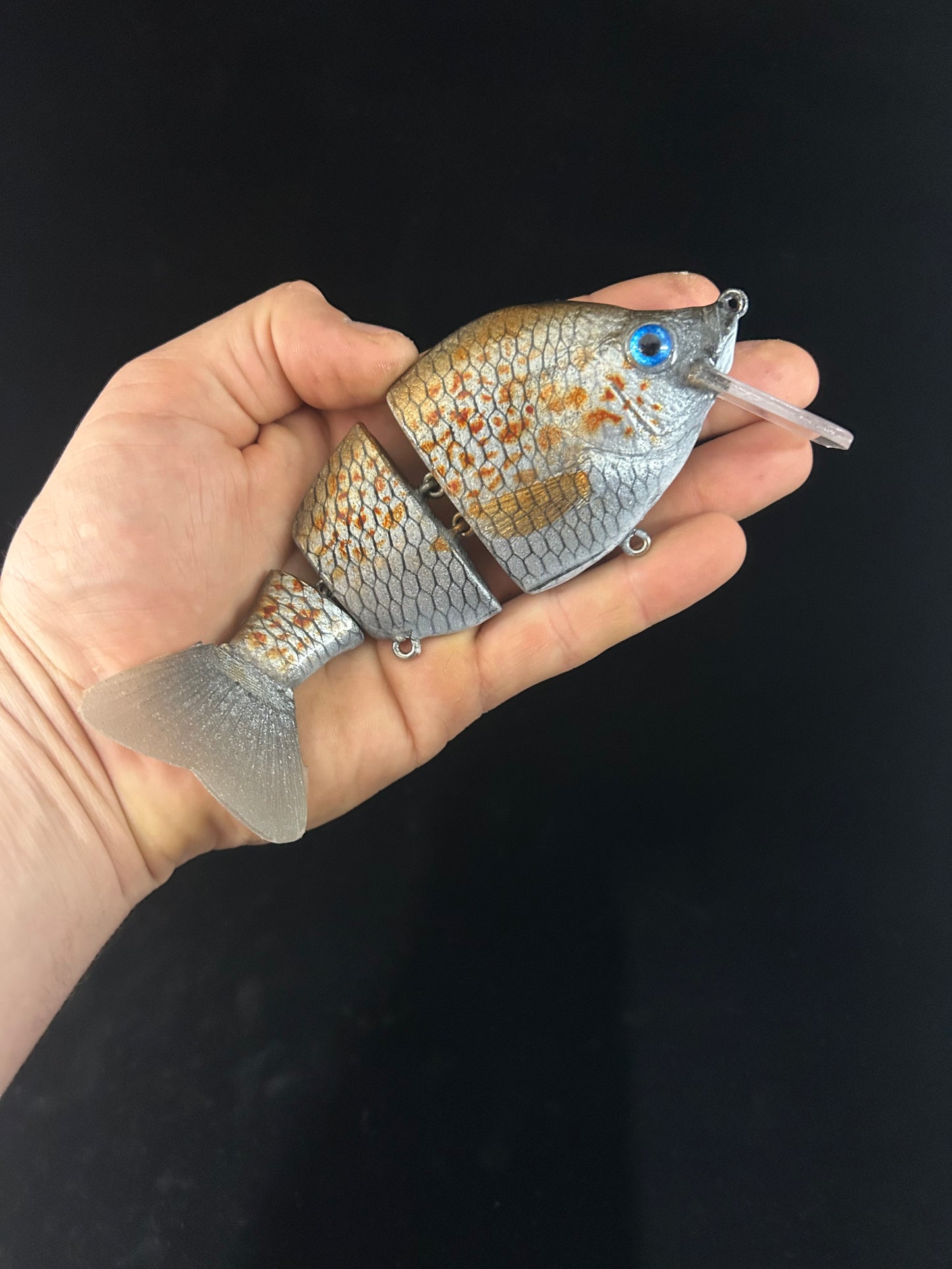 3 Piece Gill with Bib Spangled Perch