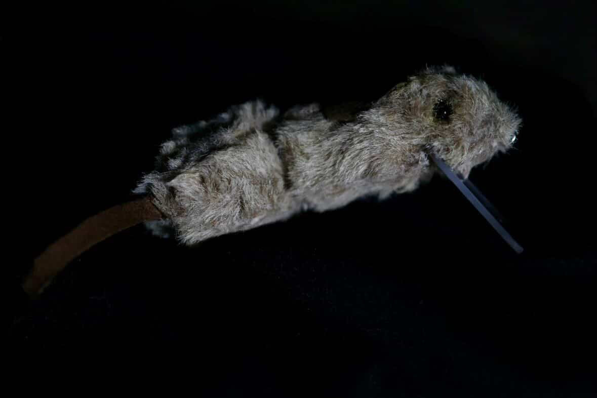 Furry Wake Bait Rats