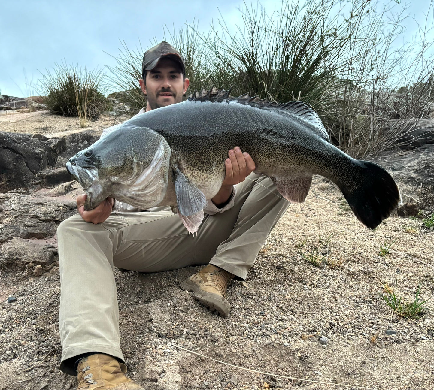 245mm Megastep Glide Bait