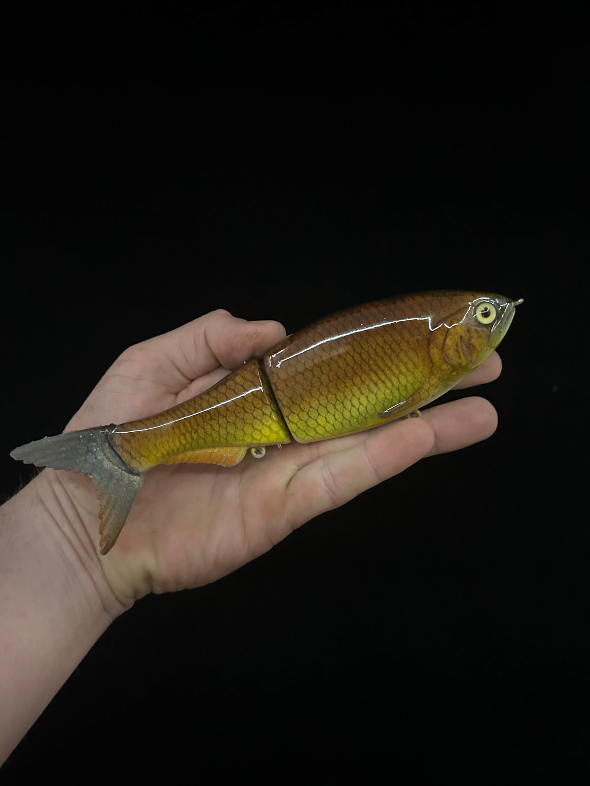 8" Glidebait Carp