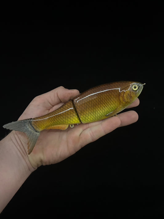 8" Glidebait Carp