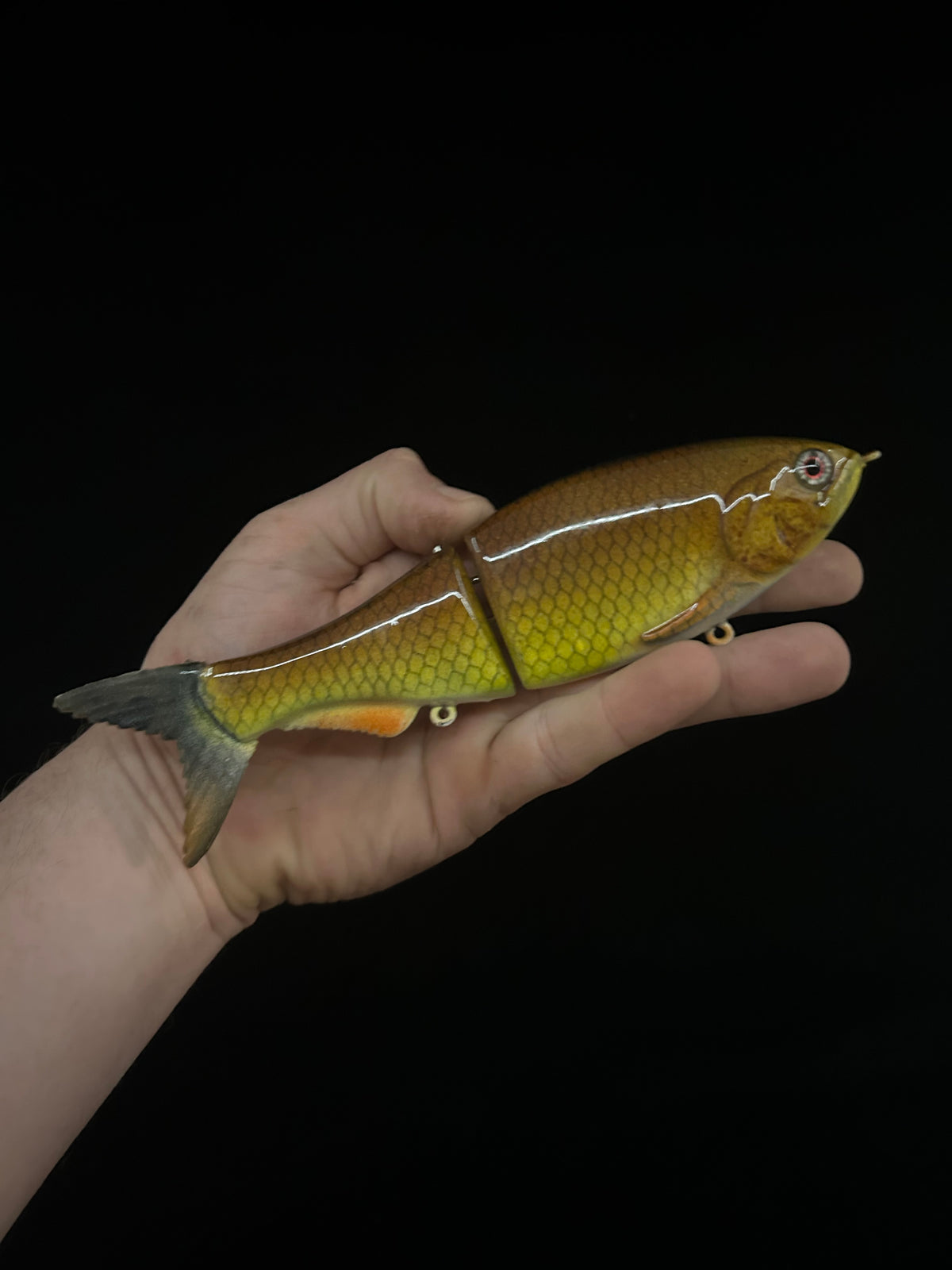 8" Glidebait Carp