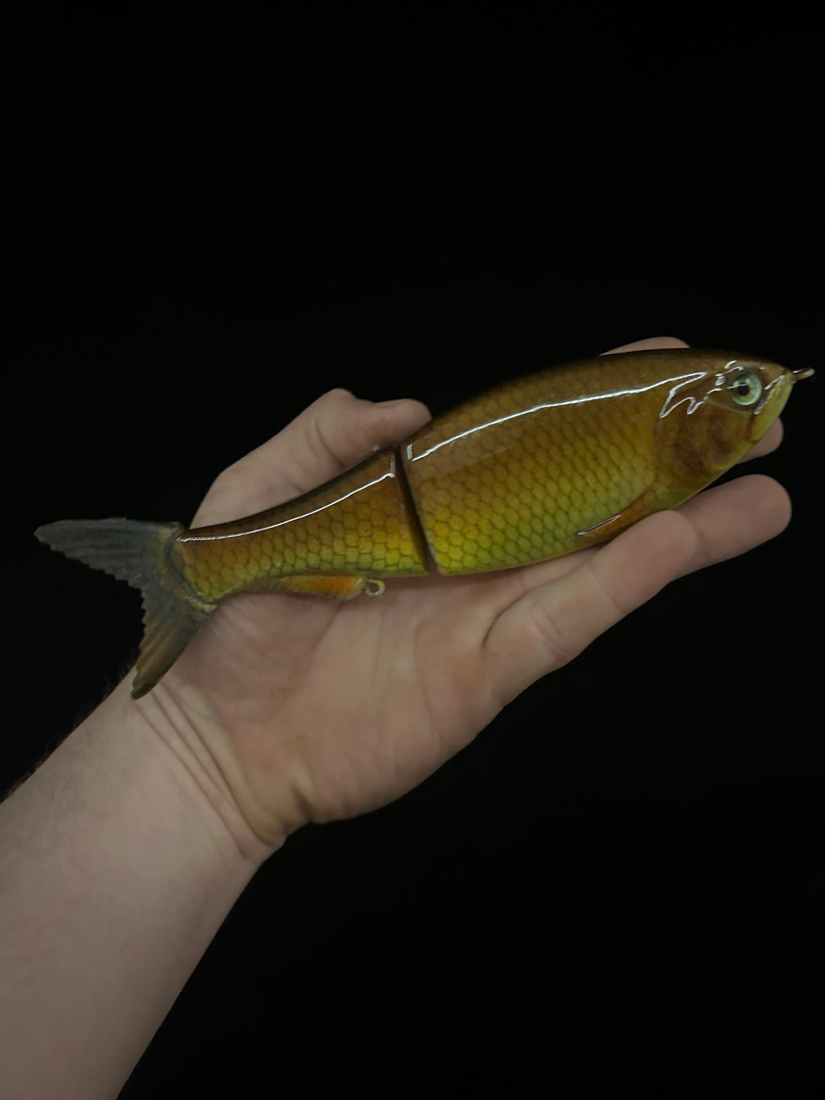 8" Glidebait Carp
