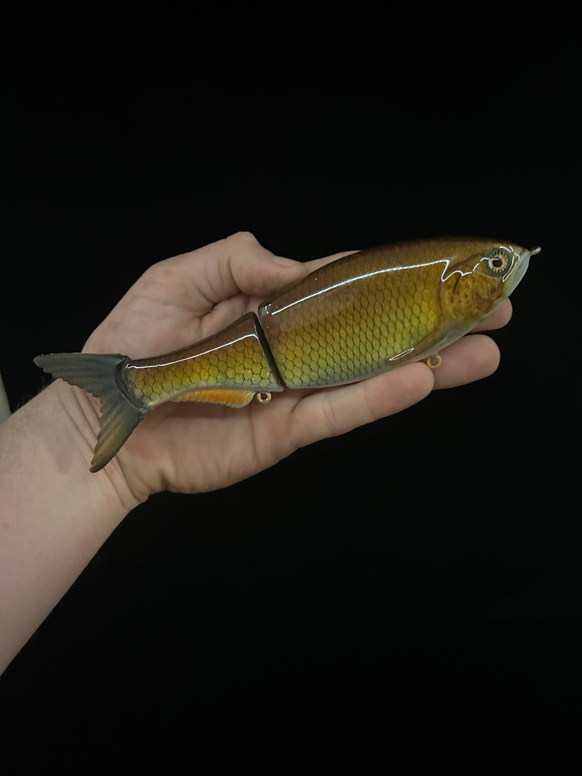 8" Glidebait Carp