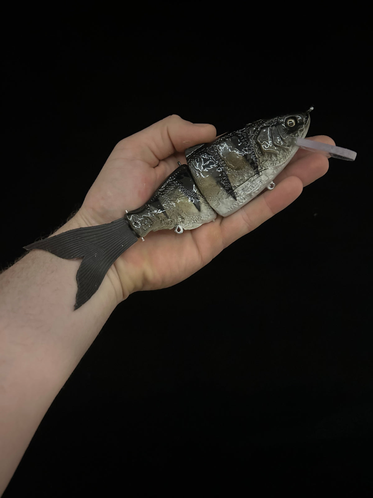 Glide Haus Bibbed Swimbait