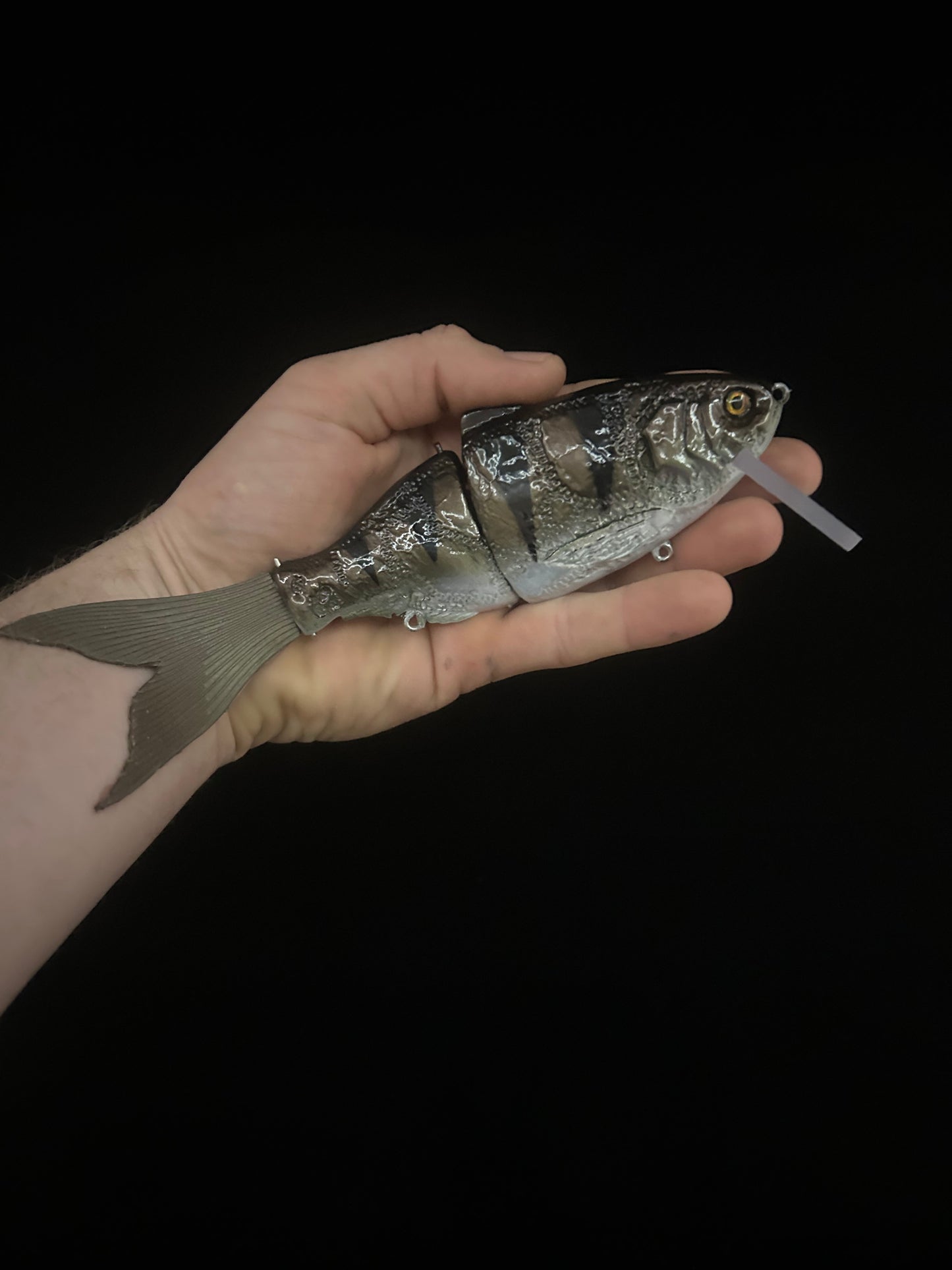 Glide Haus Bibbed Swimbait