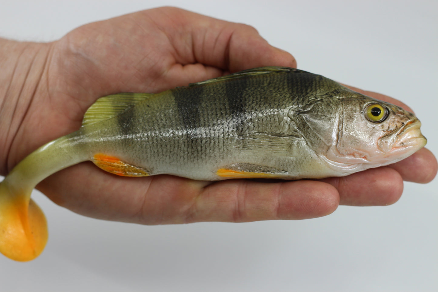 Tomy's Baits Perchoski