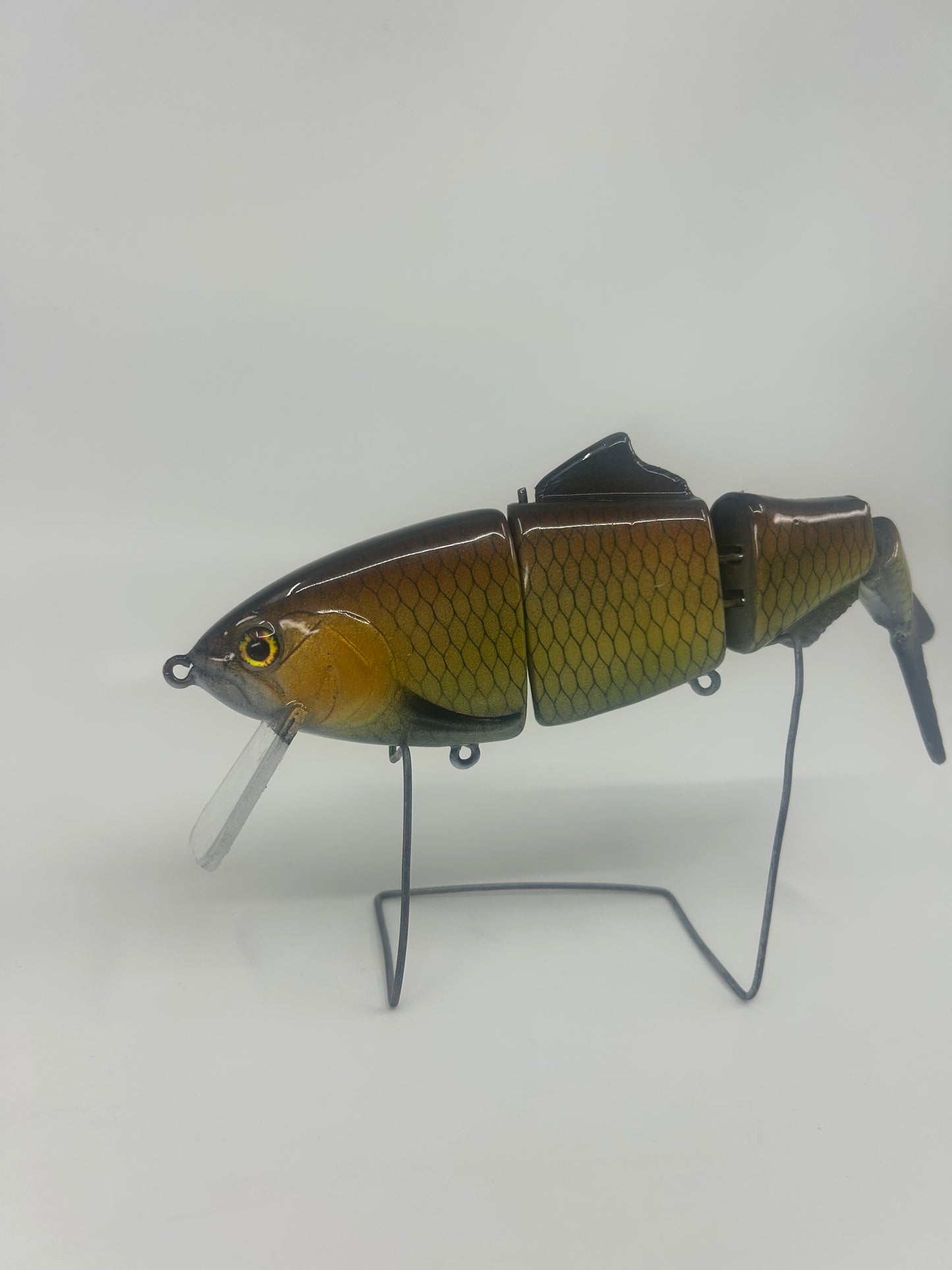 8" Bibbed Swimbait Carp