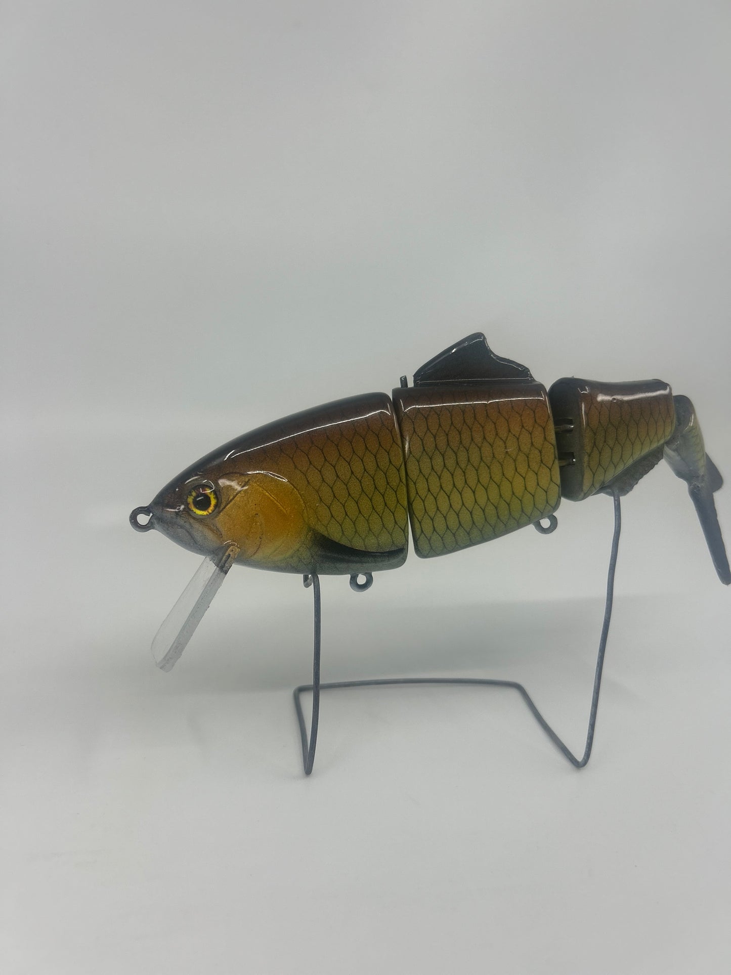 8" Bibbed Swimbait Carp