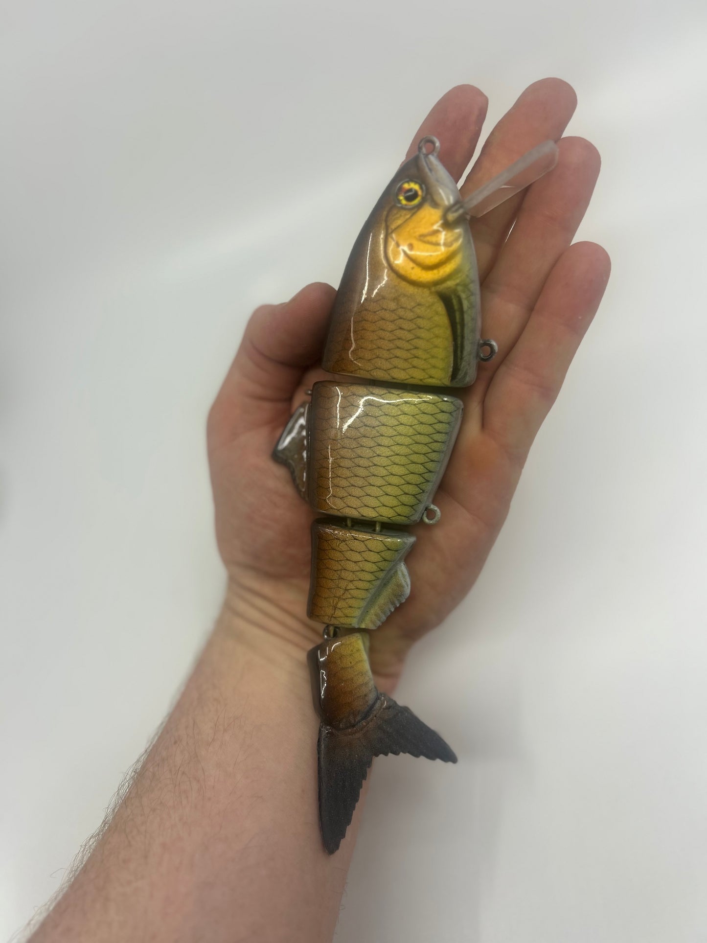 8" Bibbed Swimbait Carp