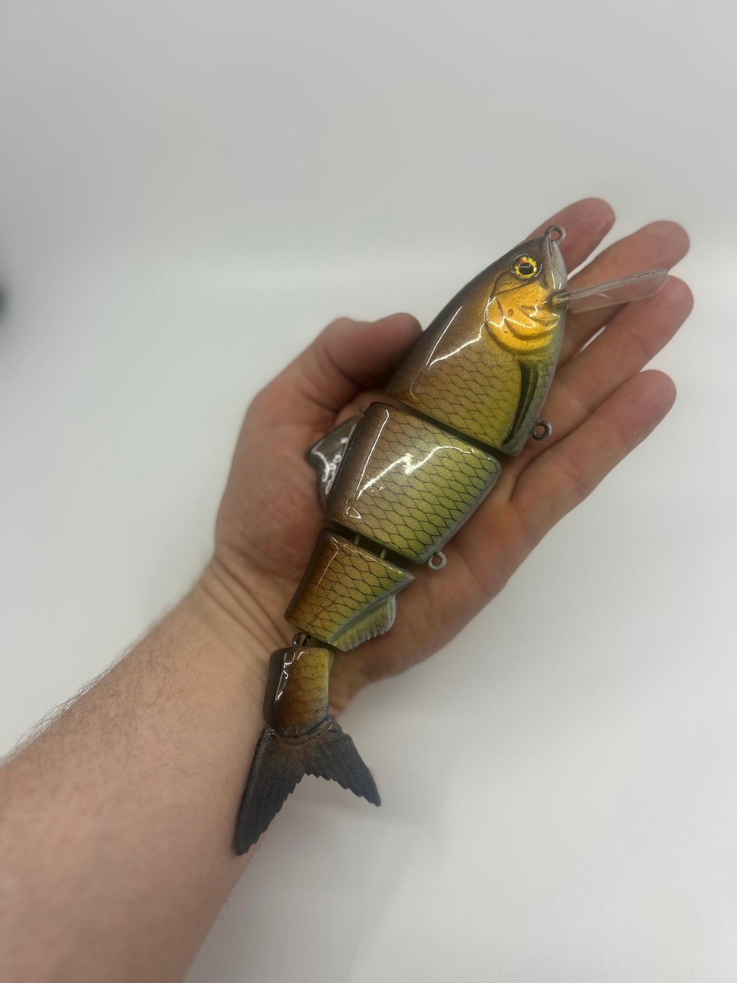 8" Bibbed Swimbait Carp