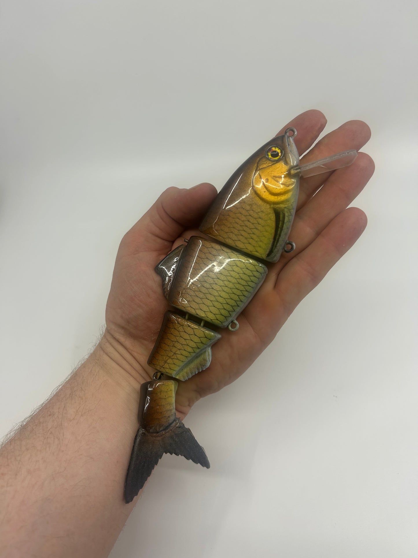 8" Bibbed Swimbait Carp