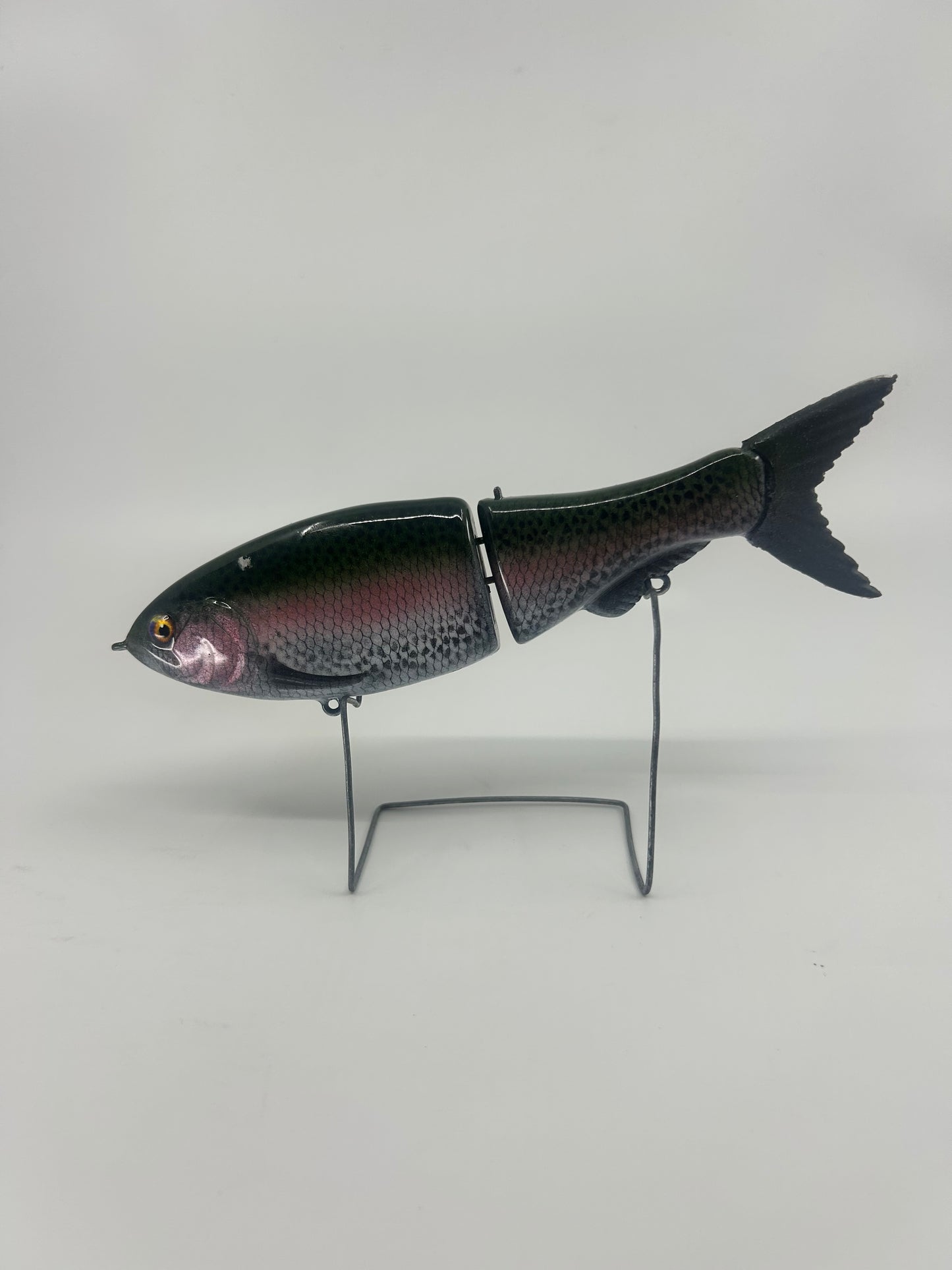 8" Glidebait Rainbow Trout