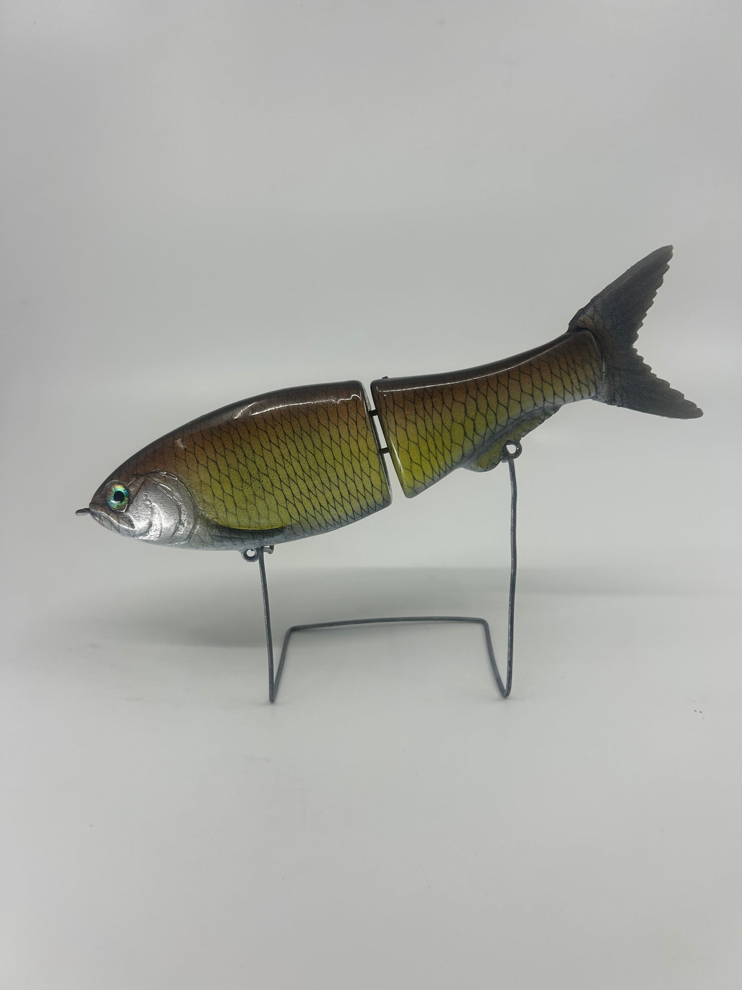 8" Glidebait Carp