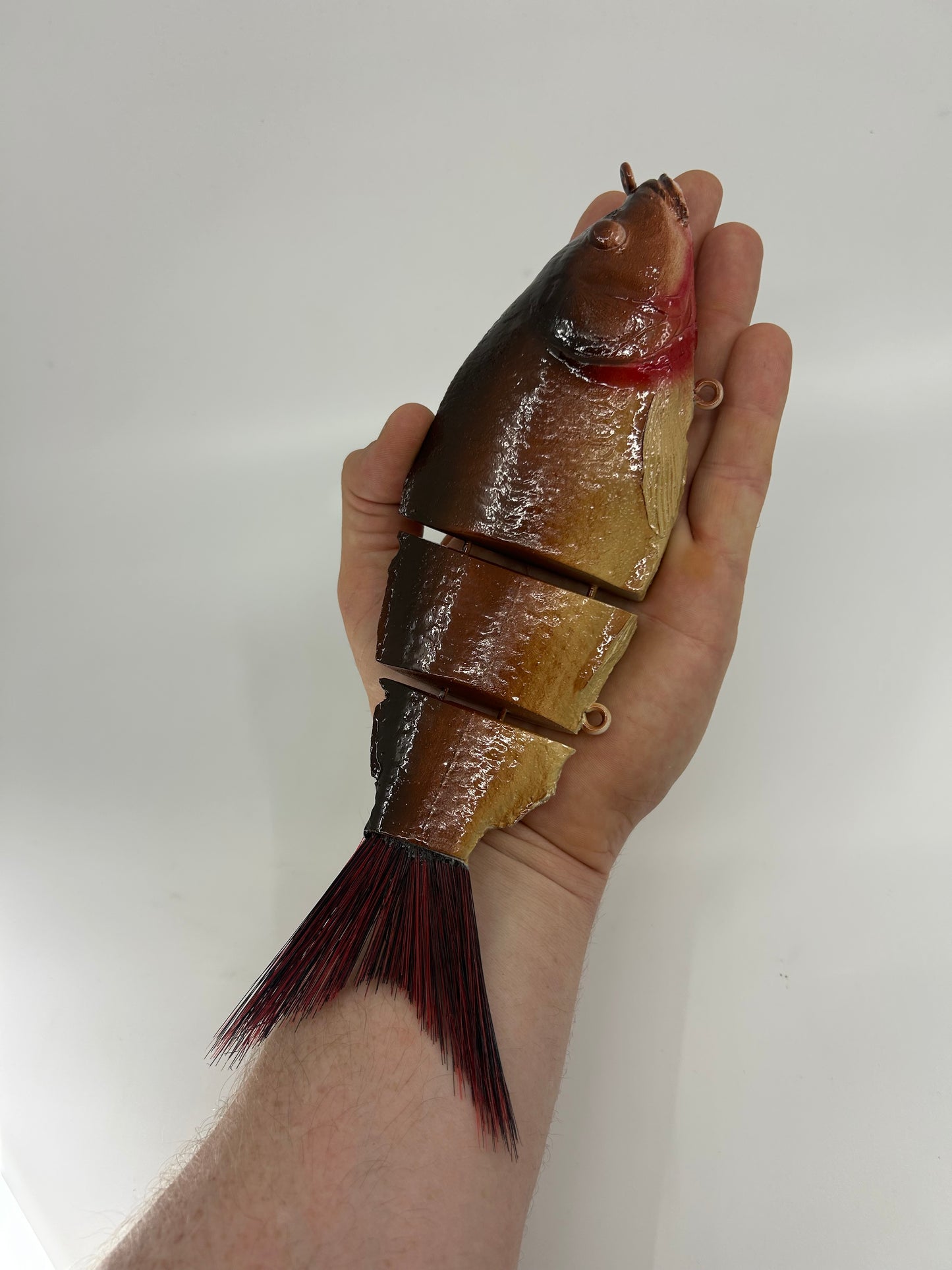 10" Carp 3 Piece Swimbait