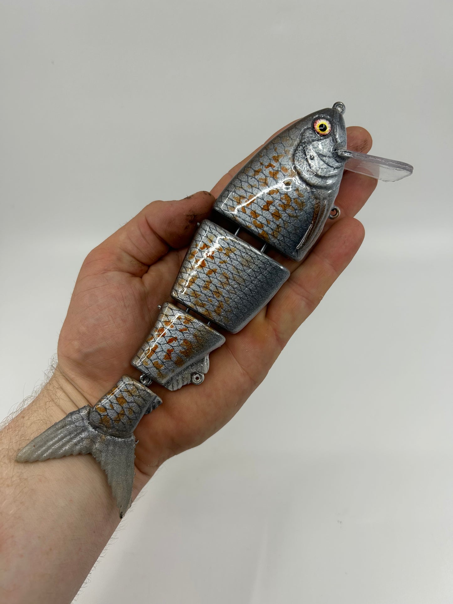 8" Bibbed Swimbait Spangled Perch