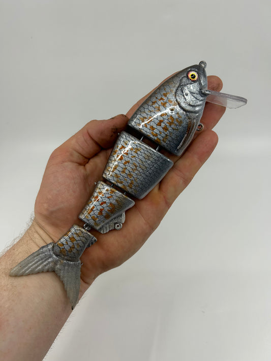 8" Bibbed Swimbait Spangled Perch