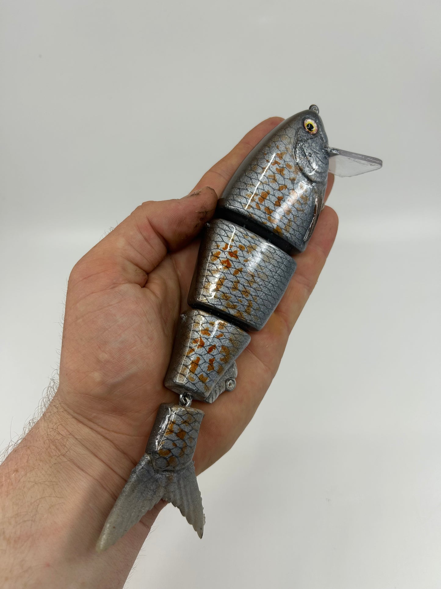 8" Bibbed Swimbait Spangled Perch