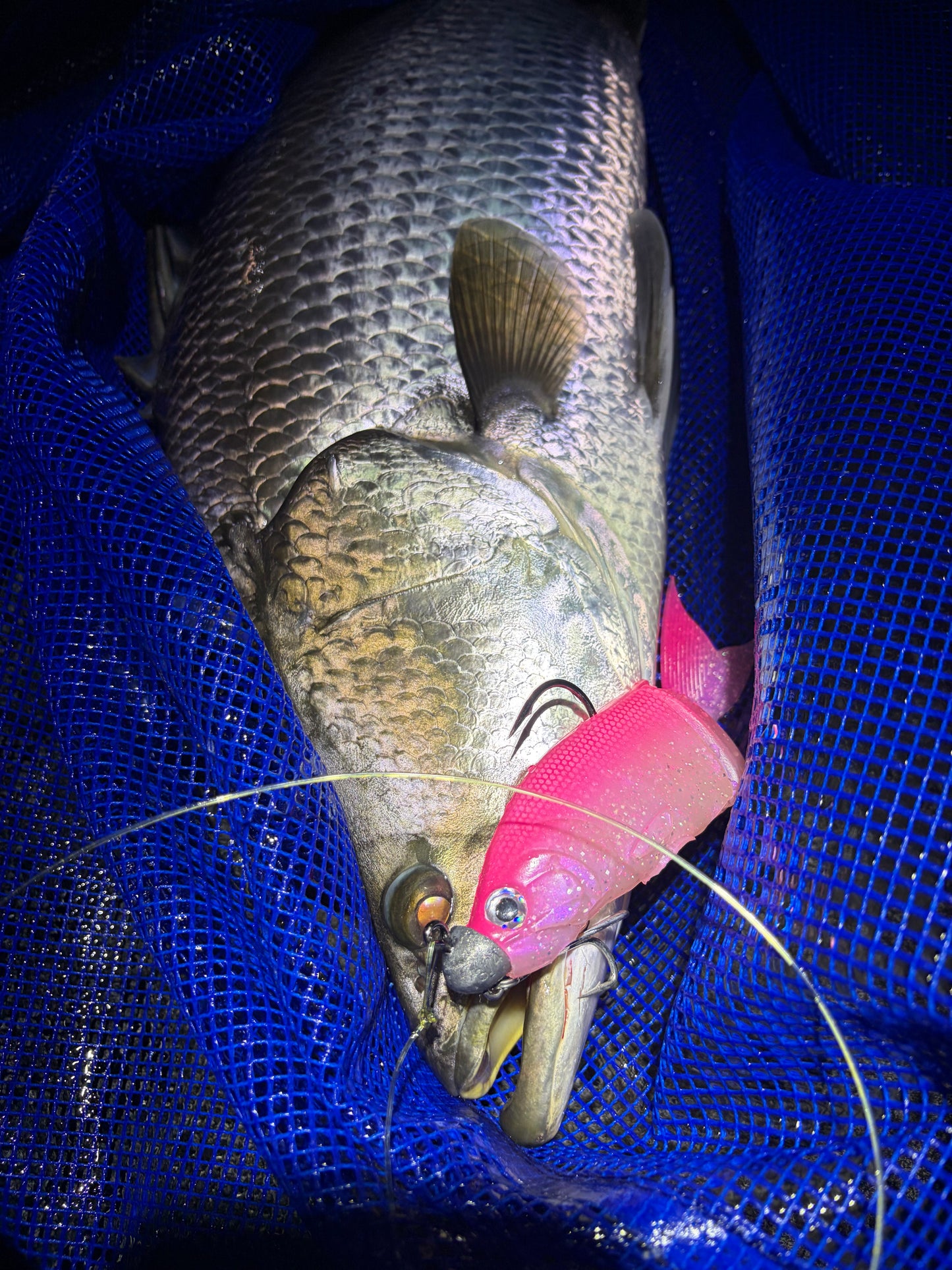5 Piece Soft Swimbait