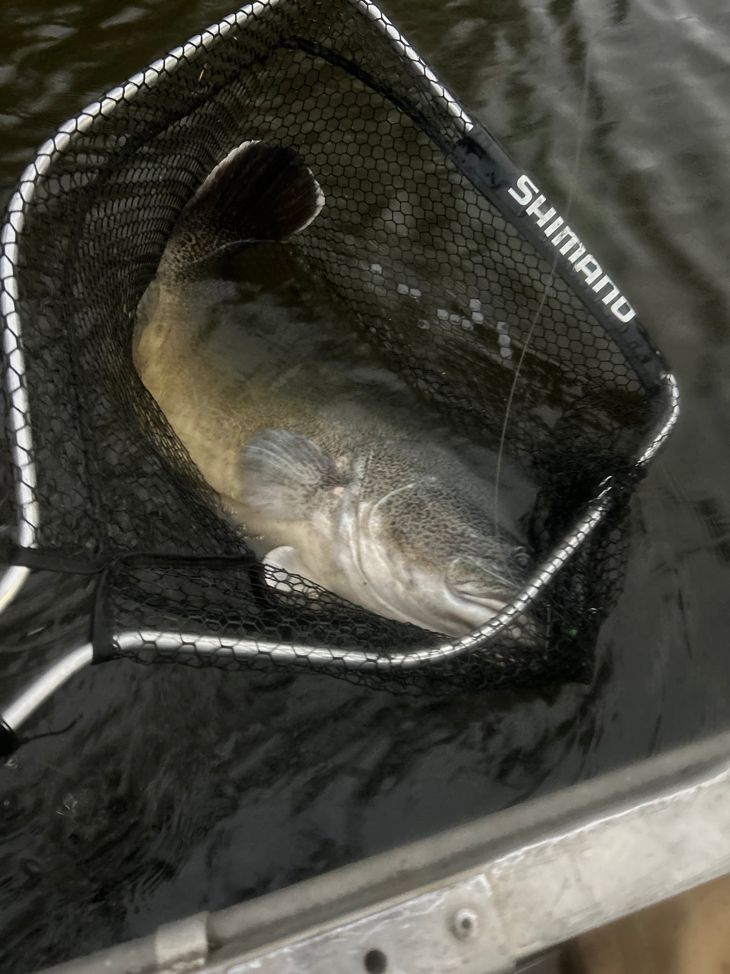 Coban Cod Crawler