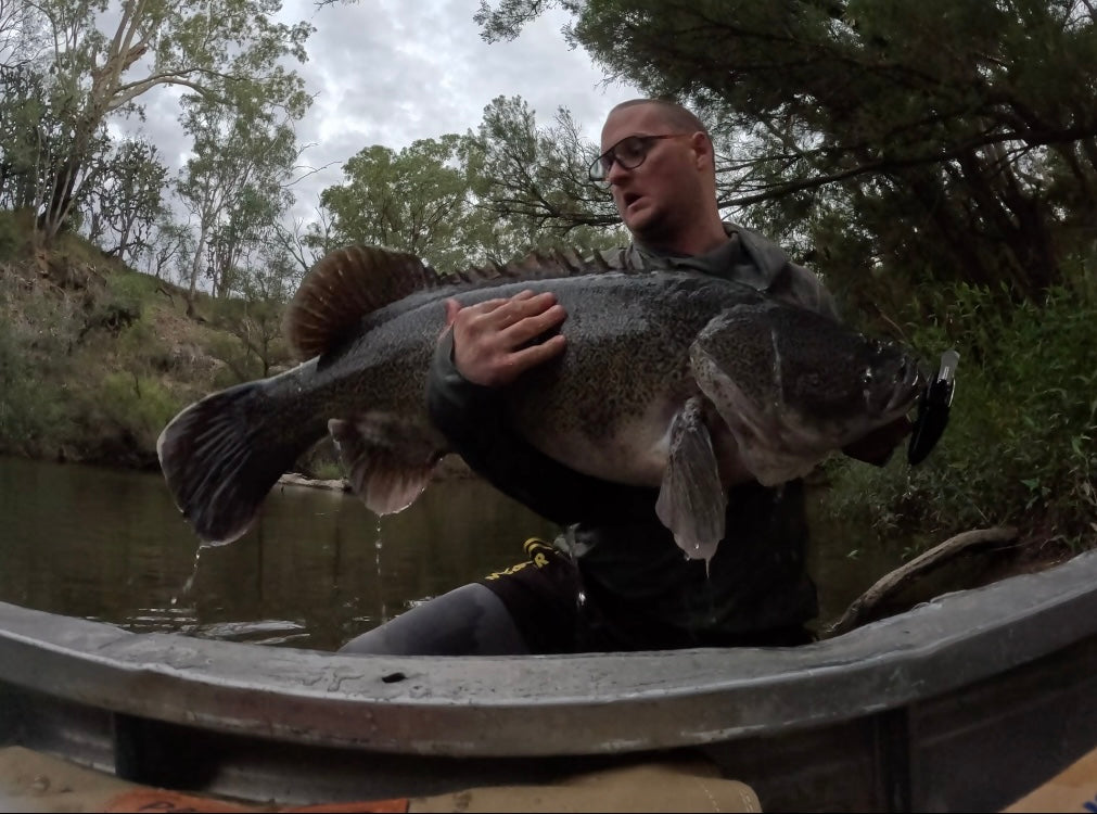 Coban Cod Crawler
