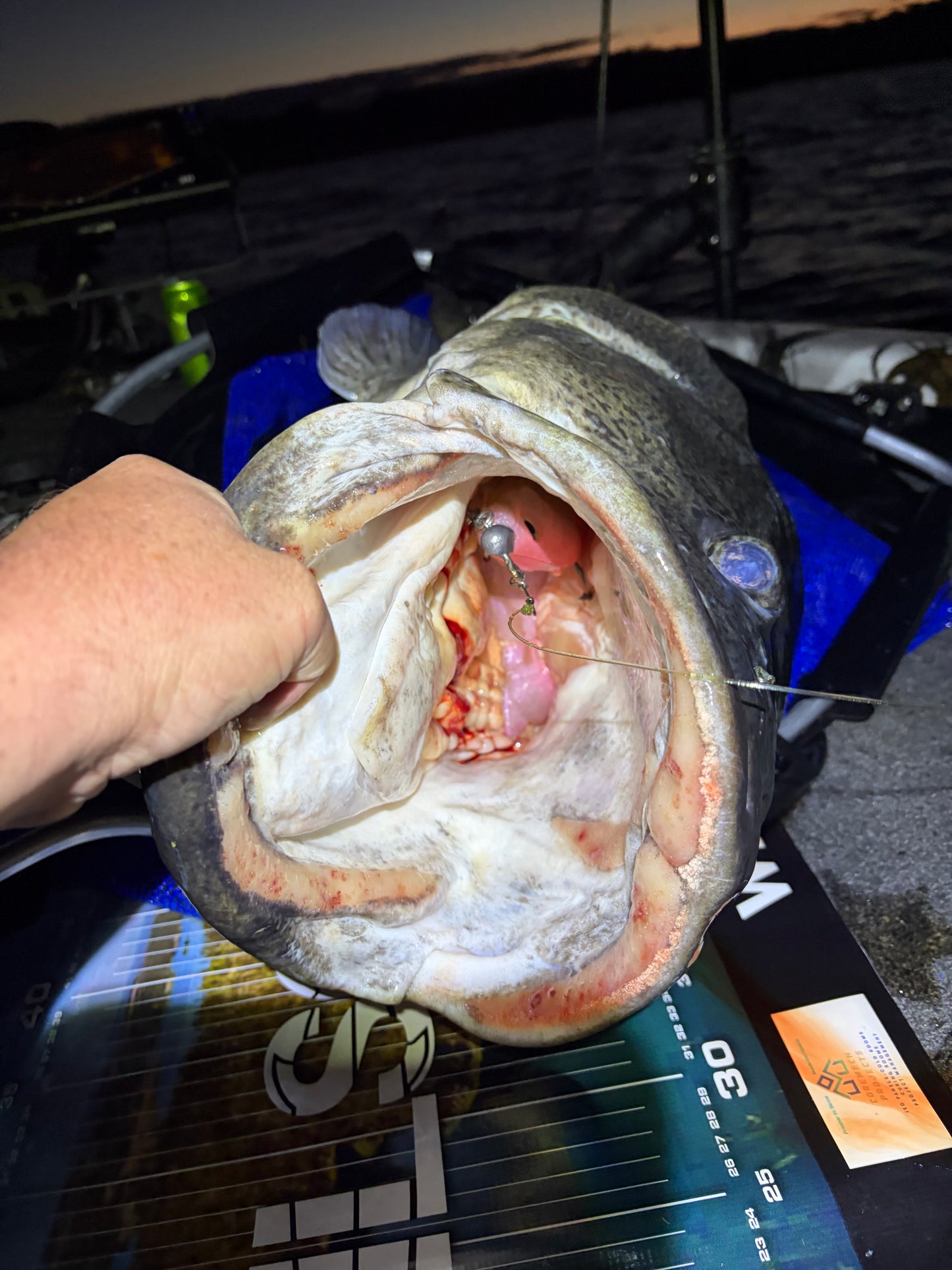 5 Piece Soft Swimbait