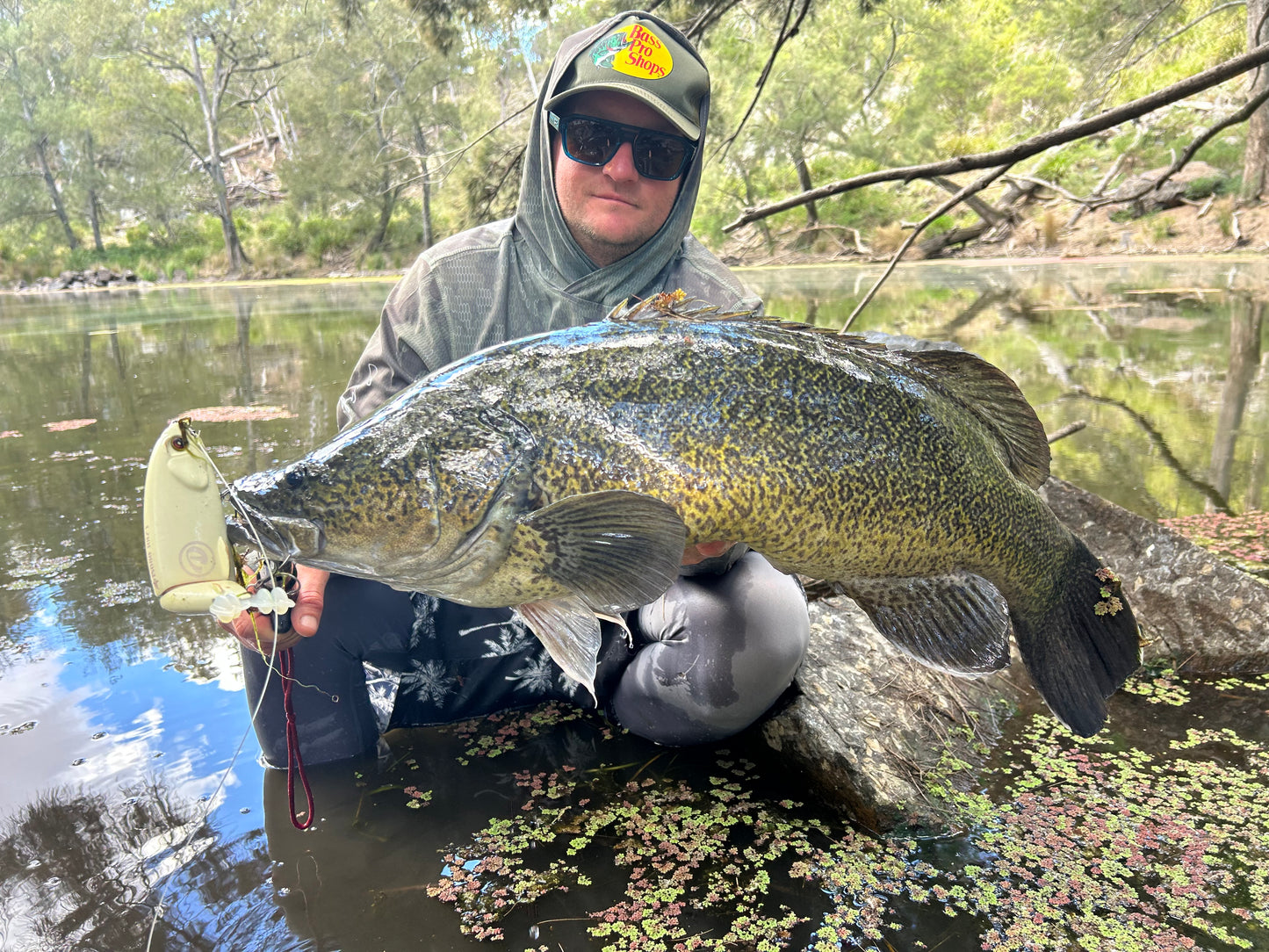 Orosi 210 Timber Glide Bait