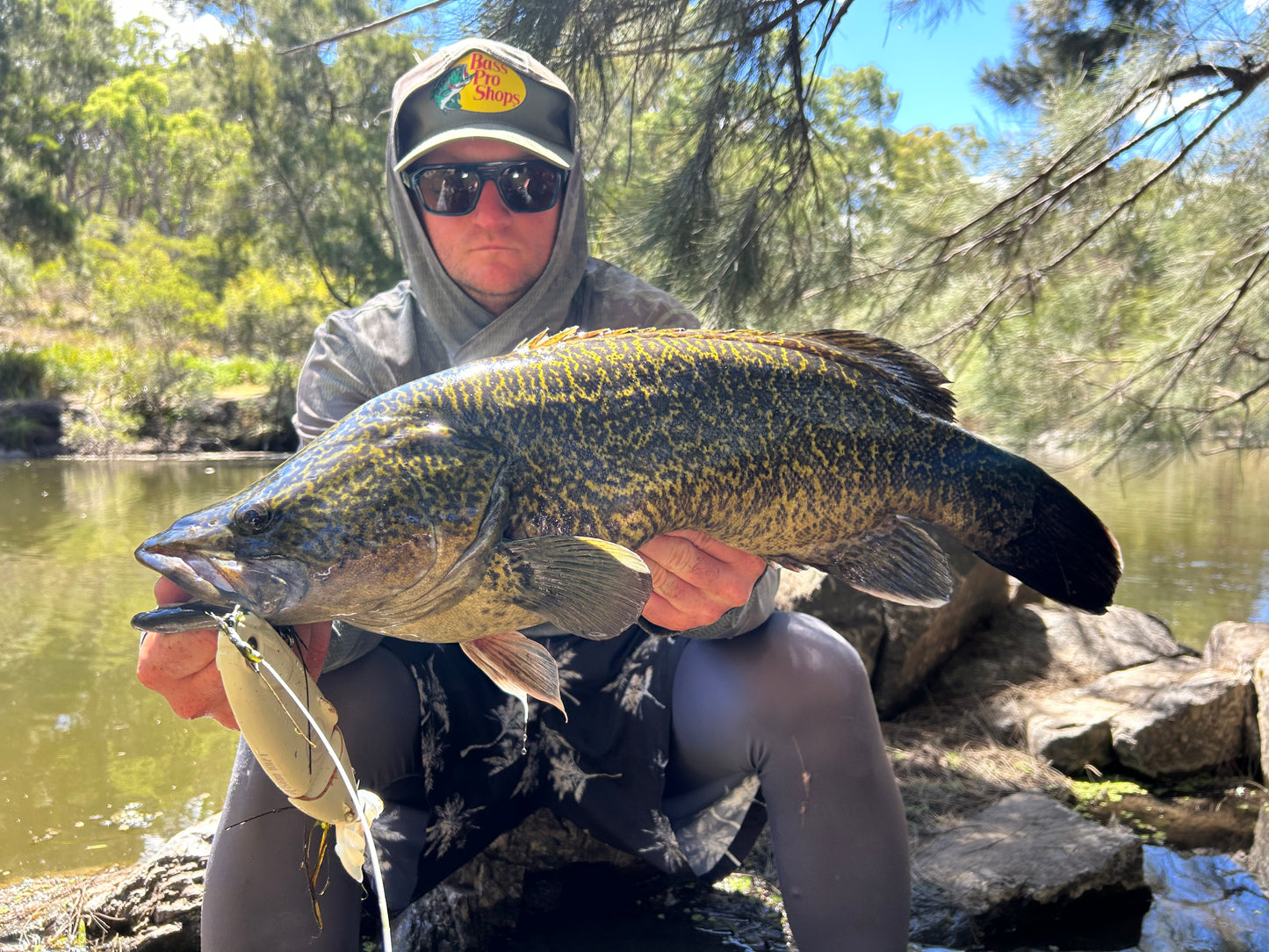 Orosi 210 Timber Glide Bait