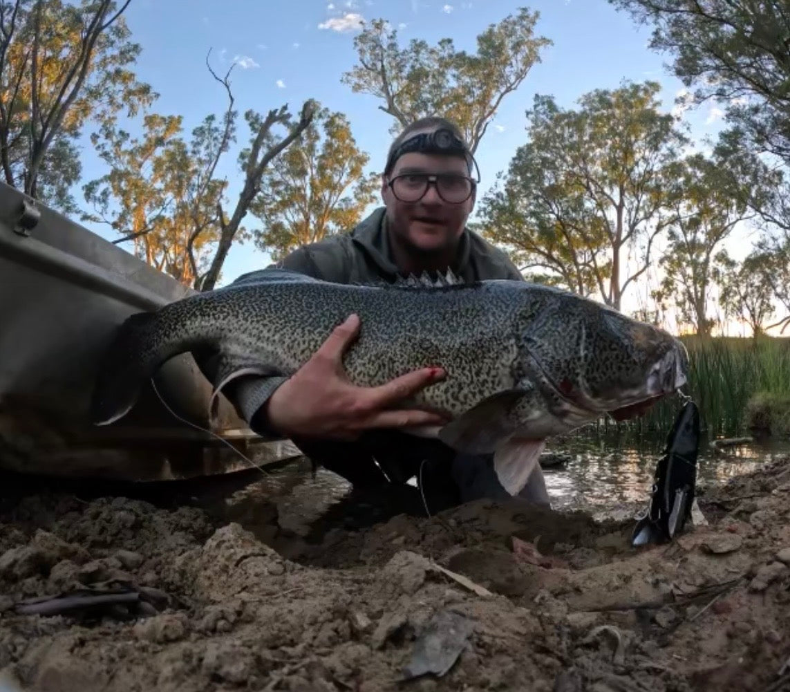 Coban Cod Crawler