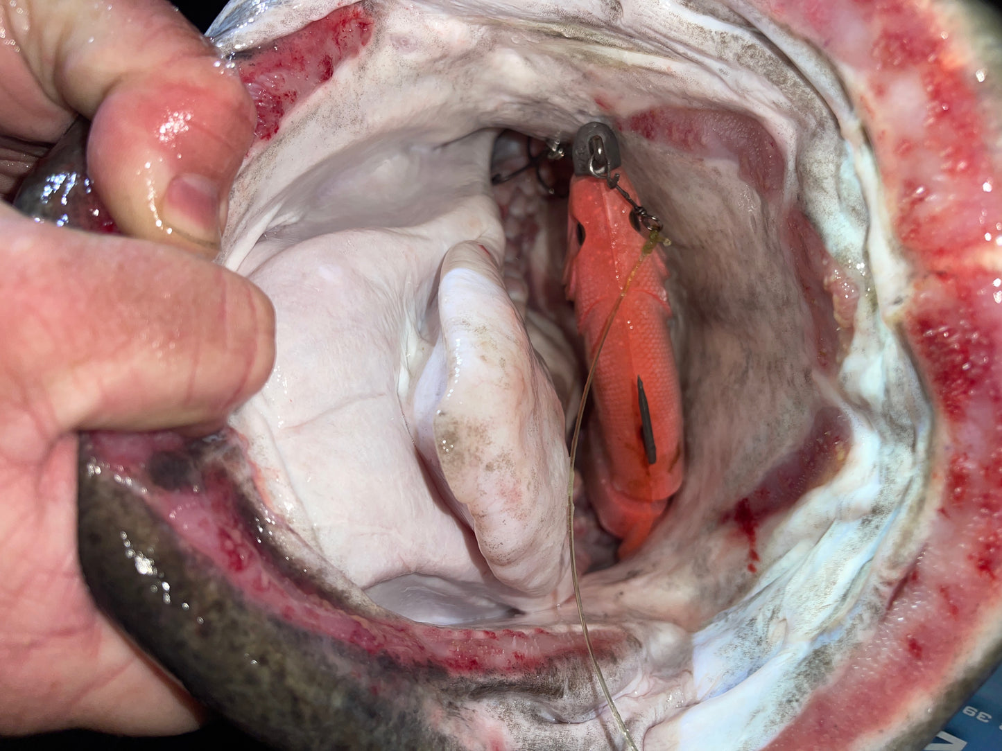 5 Piece Soft Swimbait
