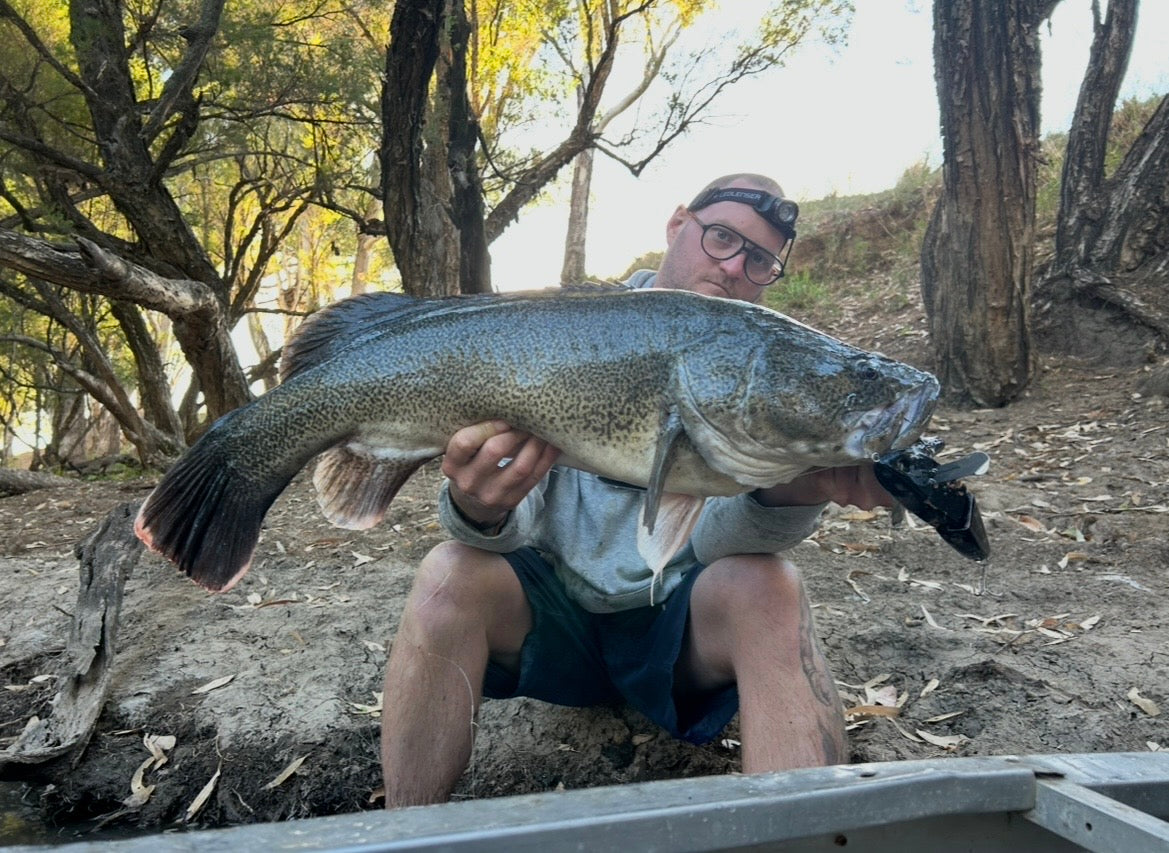 Coban Cod Crawler