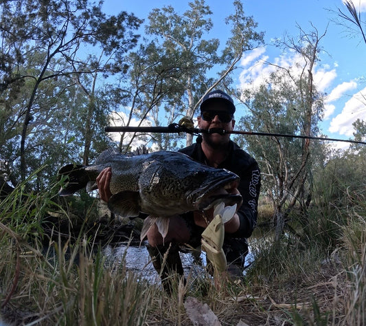 Orosi 210 Timber Glide Bait