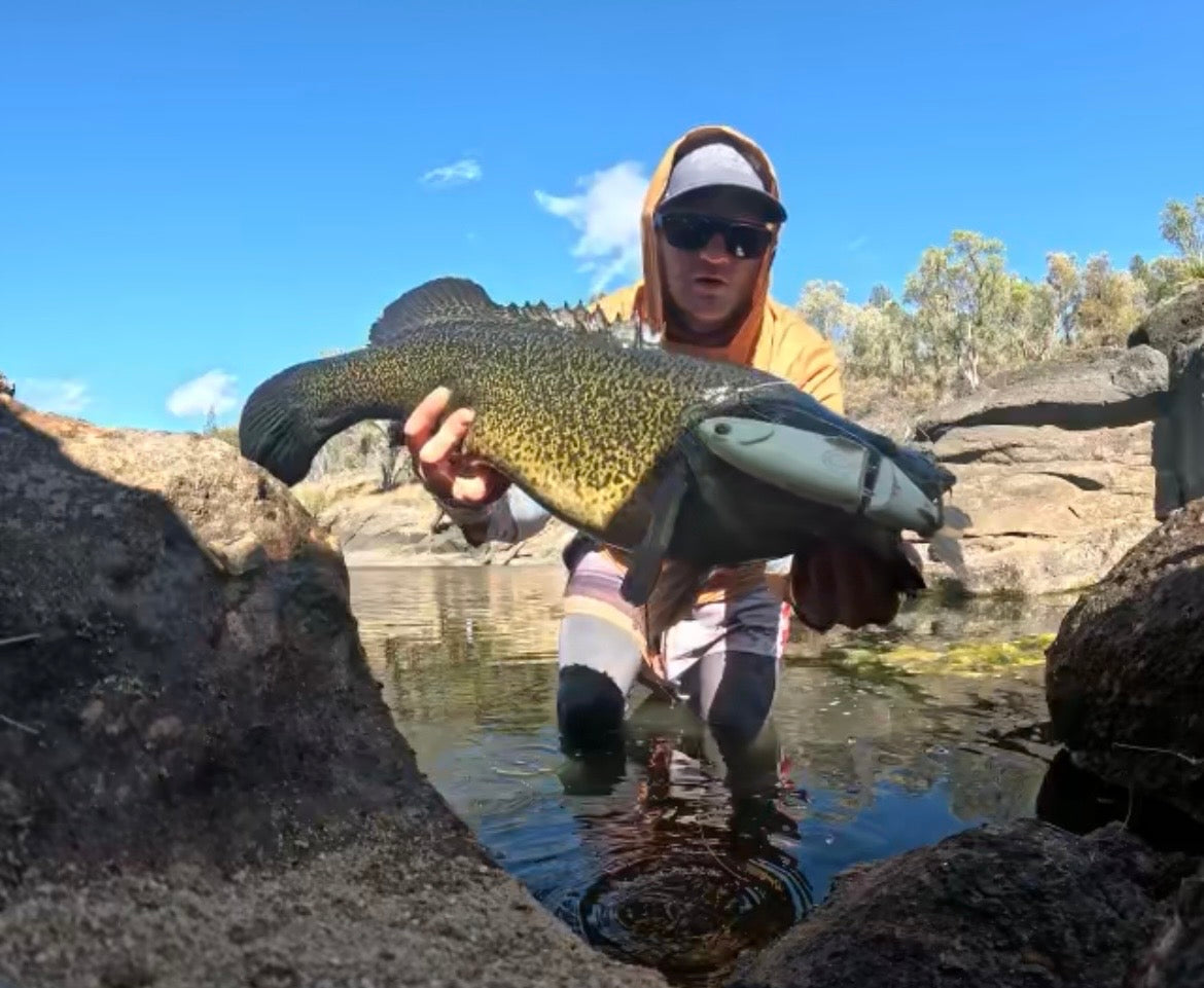 Orosi 210 Timber Glide Bait