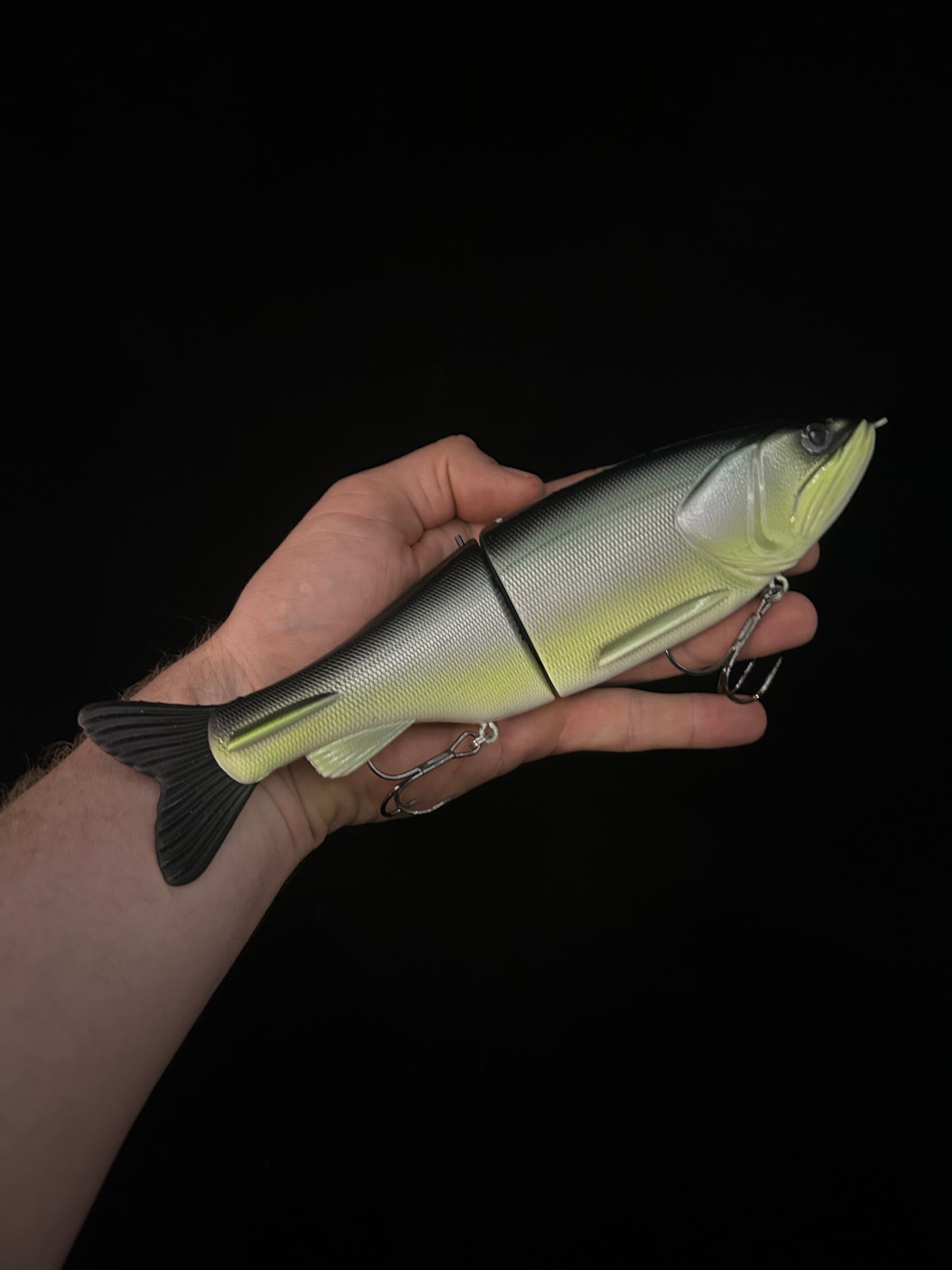 Traxx 250 Glide Bait