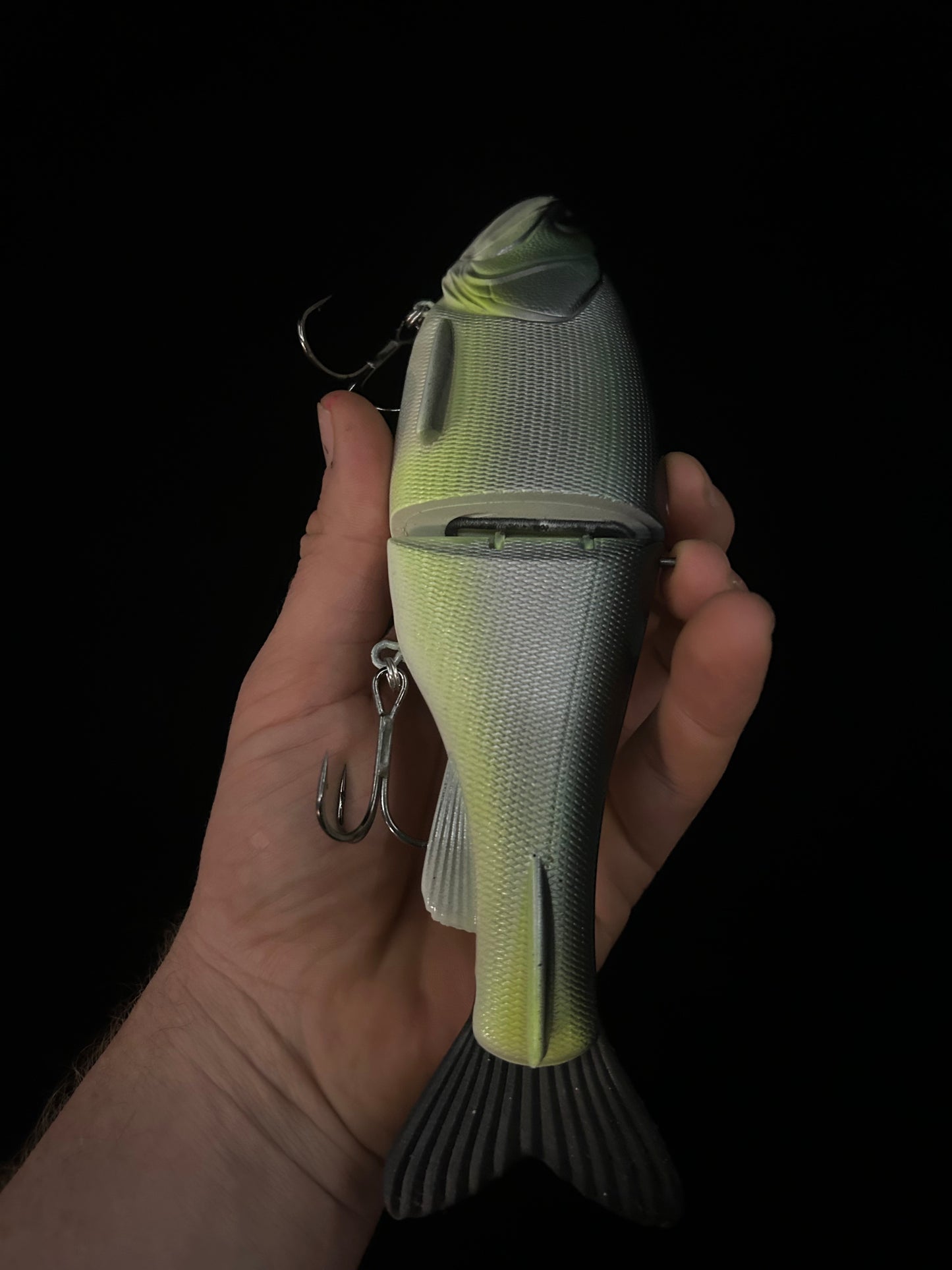Traxx 250 Glide Bait