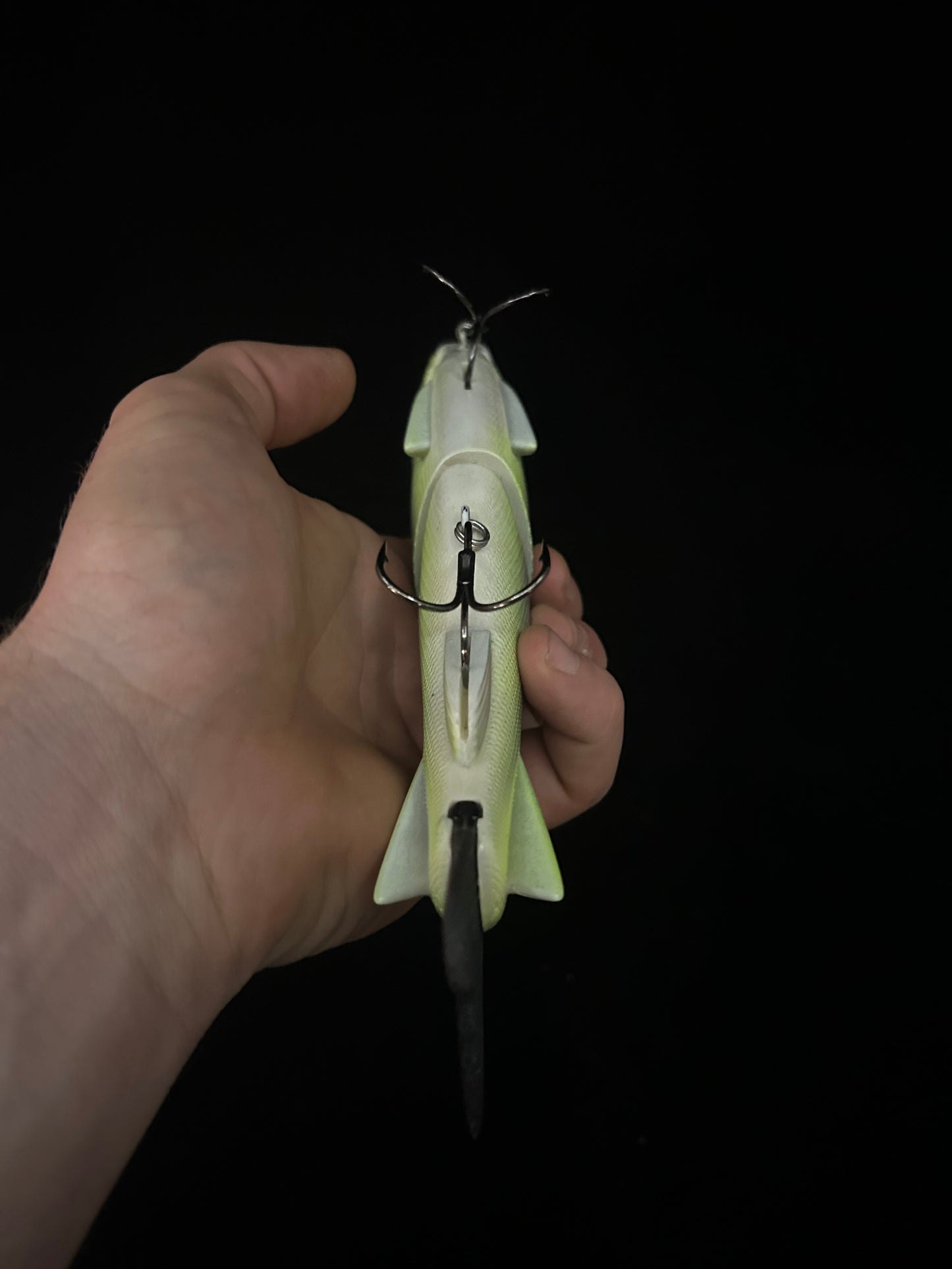 Traxx 250 Glide Bait