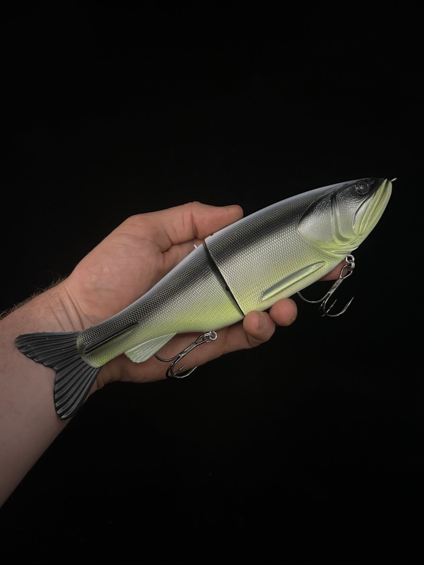 Traxx 250 Glide Bait