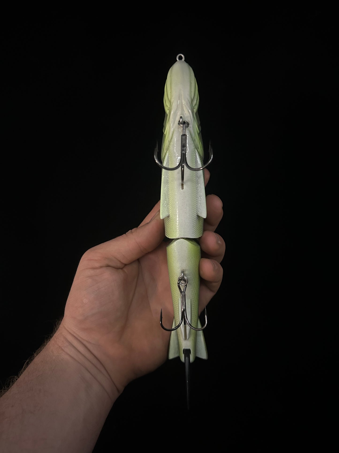 Traxx 250 Glide Bait