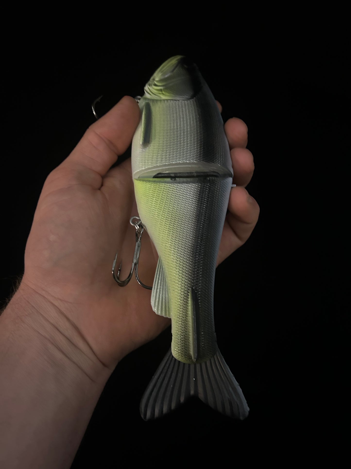 Traxx 250 Glide Bait