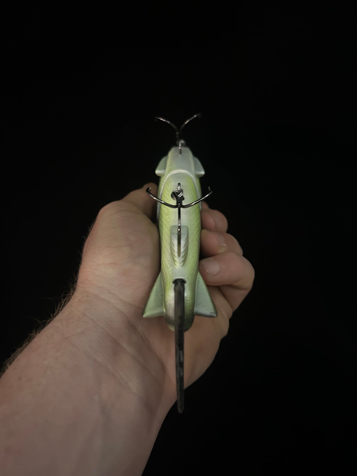 Traxx 250 Glide Bait