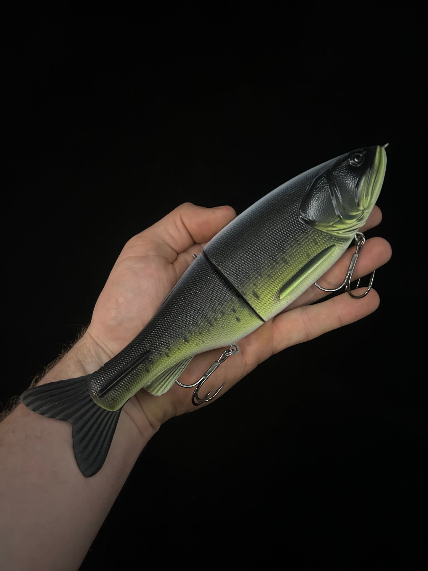 Traxx 250 Glide Bait