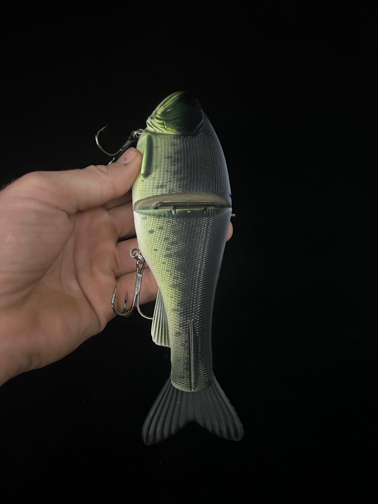 Traxx 250 Glide Bait