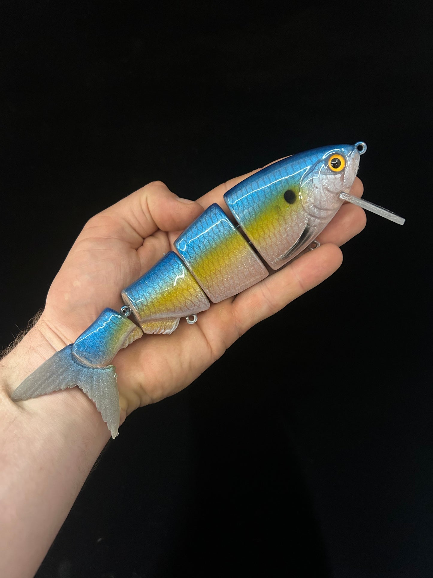 8" Bibbed Swimbait Sexy Shad