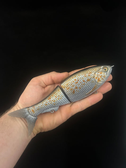 8" Glide Bait Spangled Perch